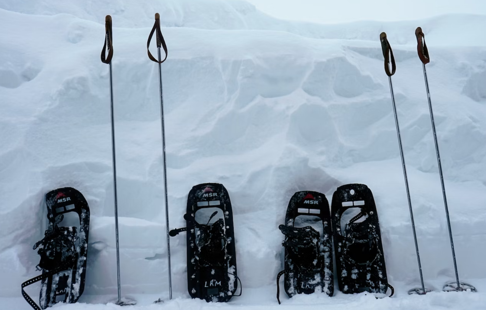 snow shoe